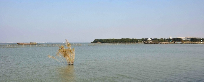 运城治疗宫颈糜烂的专业医院